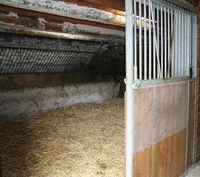 Box de velage ou poulinage sous surveillance par cam�ra